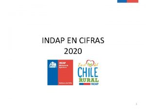 INDAP EN CIFRAS 2020 1 INDAP en CIFRAS