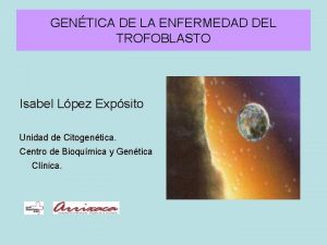 GENTICA DE LA ENFERMEDAD DEL TROFOBLASTO Isabel Lpez