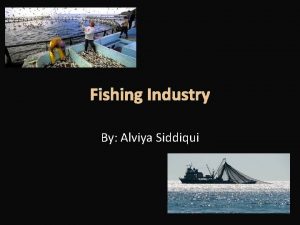 Fishing Industry By Alviya Siddiqui Fishing Industry v