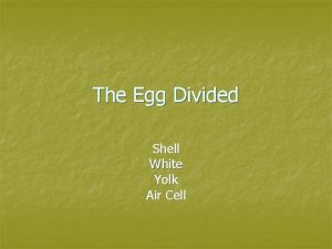 The Egg Divided Shell White Yolk Air Cell