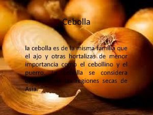 Cebolla la cebolla es de la misma familia