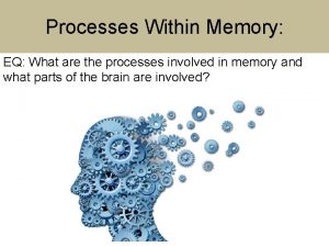 Processes Within Memory EQ What are the processes