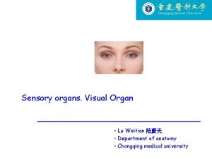 Sensory organs Visual Organ Lu Weitian Department of