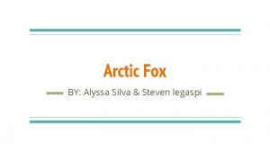 Arctic Fox BY Alyssa Silva Steven legaspi Arctic