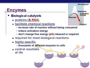 Enzymes Biological catalysts u u proteins RNA facilitate