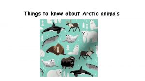 Things to know about Arctic animals Things we