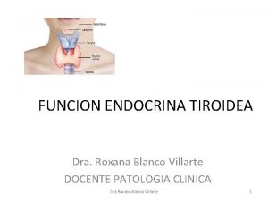 FUNCION ENDOCRINA TIROIDEA Dra Roxana Blanco Villarte DOCENTE