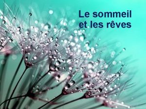 Le sommeil et les rves Le sommeil l