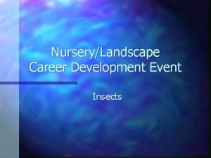 NurseryLandscape Career Development Event Insects Aphid Softbodied insect