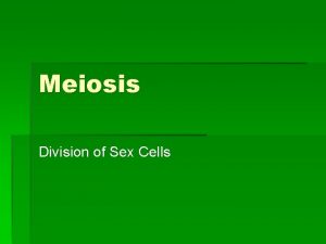 Meiosis Division of Sex Cells Meiosis A process