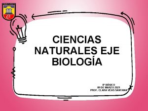 CIENCIAS NATURALES EJE BIOLOGA 8 BSICO 09 DE