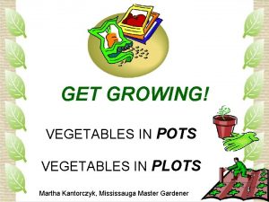 GET GROWING VEGETABLES IN POTS VEGETABLES IN PLOTS