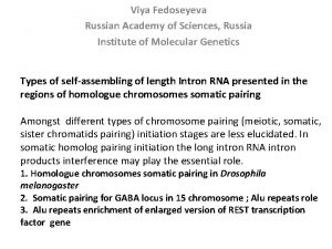 Viya Fedoseyeva Russian Academy of Sciences Russia Institute Viya Fedoseyeva Russian Academy of Sciences Russia Institute