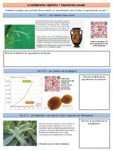 La multiplication vgtative Reproduction asexue Comment expliquer que