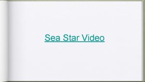 Sea Star Video Echinoderms Kingdom Animalia Phylum Echinodermata