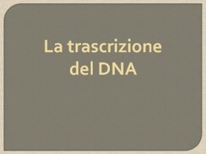 La trascrizione del DNA RNA Tra il DNA