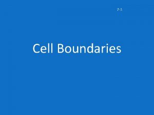 7 3 Cell Boundaries Cell Membrane Cell membrane