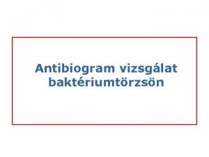 Antibiogram vizsglat baktriumtrzsn Laboratriumi eszkzk Steril fiziolgis oldat