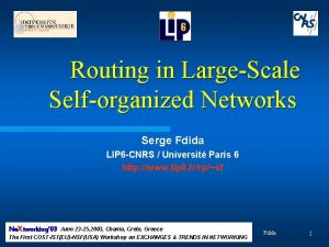 Routing in LargeScale Selforganized Networks Serge Fdida LIP