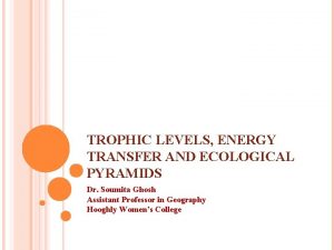 TROPHIC LEVELS ENERGY TRANSFER AND ECOLOGICAL PYRAMIDS Dr