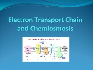 Electron Transport Chain and Chemiosmosis Introduction to the