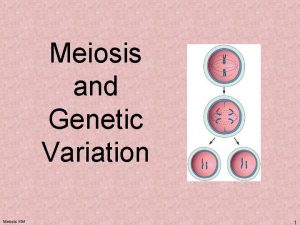 Meiosis and Genetic Variation Meiosis KM 1 Genome