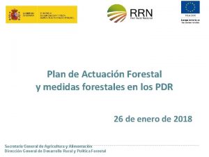 Plan de Actuacin Forestal y medidas forestales en