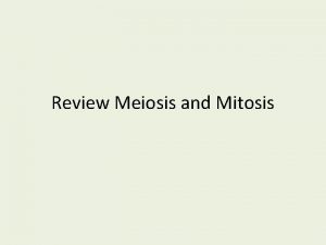 Review Meiosis and Mitosis Mitosis or Meiosis 1