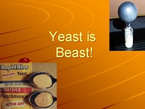 Yeast is Beast The Marathon If somebody challenged