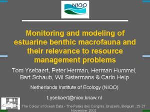 Monitoring and modeling of estuarine benthic macrofauna and