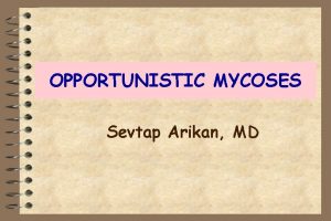 OPPORTUNISTIC MYCOSES Sevtap Arikan MD OPPORTUNISTIC MYCOSES General