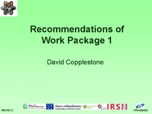 Recommendations of Work Package 1 David Copplestone PROTECT