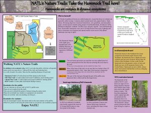 NATLs Nature Trails Take the Hammock Trail here