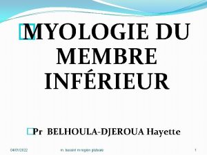 MYOLOGIE DU MEMBRE INFRIEUR Pr BELHOULADJEROUA Hayette 04012022