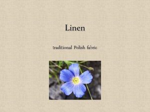 Linen traditional Polish fabric Linen Linum usitatissimum is