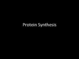 Protein Synthesis Protein Synthesis Overview The information in