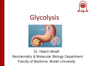 Glycolysis Dr Nesrin Mwafi Biochemistry Molecular Biology Department