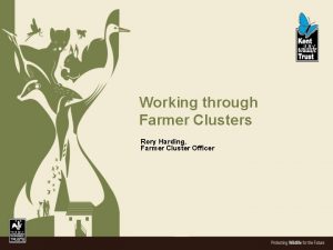 Working through Farmer Clusters Rory Harding Farmer Cluster