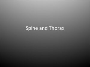 Spine and Thorax The Spine supports all of