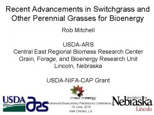 Recent Advancements in Switchgrass and Other Perennial Grasses