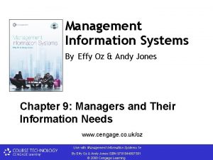 Management Information Systems By Effy Oz Andy Jones