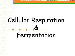 Cellular Respiration Fermentation Aerobic Cellular Respiration n The