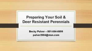 Preparing Your Soil Deer Resistant Perennials Becky Pulver