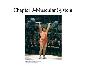 Chapter 9 Muscular System The Muscular System Moves