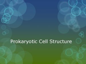 Prokaryotic Cell Structure Bacterial Envelope comprises the inner