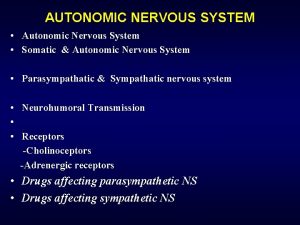 AUTONOMIC NERVOUS SYSTEM Autonomic Nervous System Somatic Autonomic