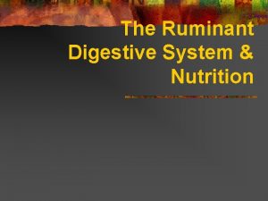 The Ruminant Digestive System Nutrition Ruminant Digestive Systems