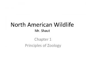 North American Wildlife Mr Shaut Chapter 1 Principles
