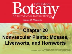 Chapter 20 Nonvascular Plants Mosses Liverworts and Hornworts