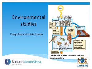 Environmental studies Energy flow and nutrient cycles Energy